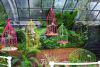 Vernisáž a výstava v brněnské Botanické zahradě